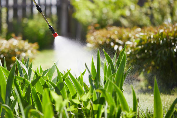 24/7 Emergency Fumigation Services experts in Loogootee, IN