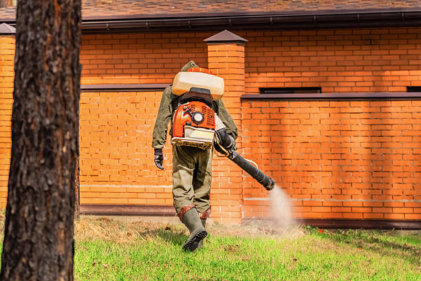 Trusted Termite Control service in Loogootee, IN - Nex Pest Control